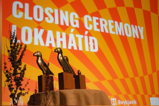 festival cinema reykiavik